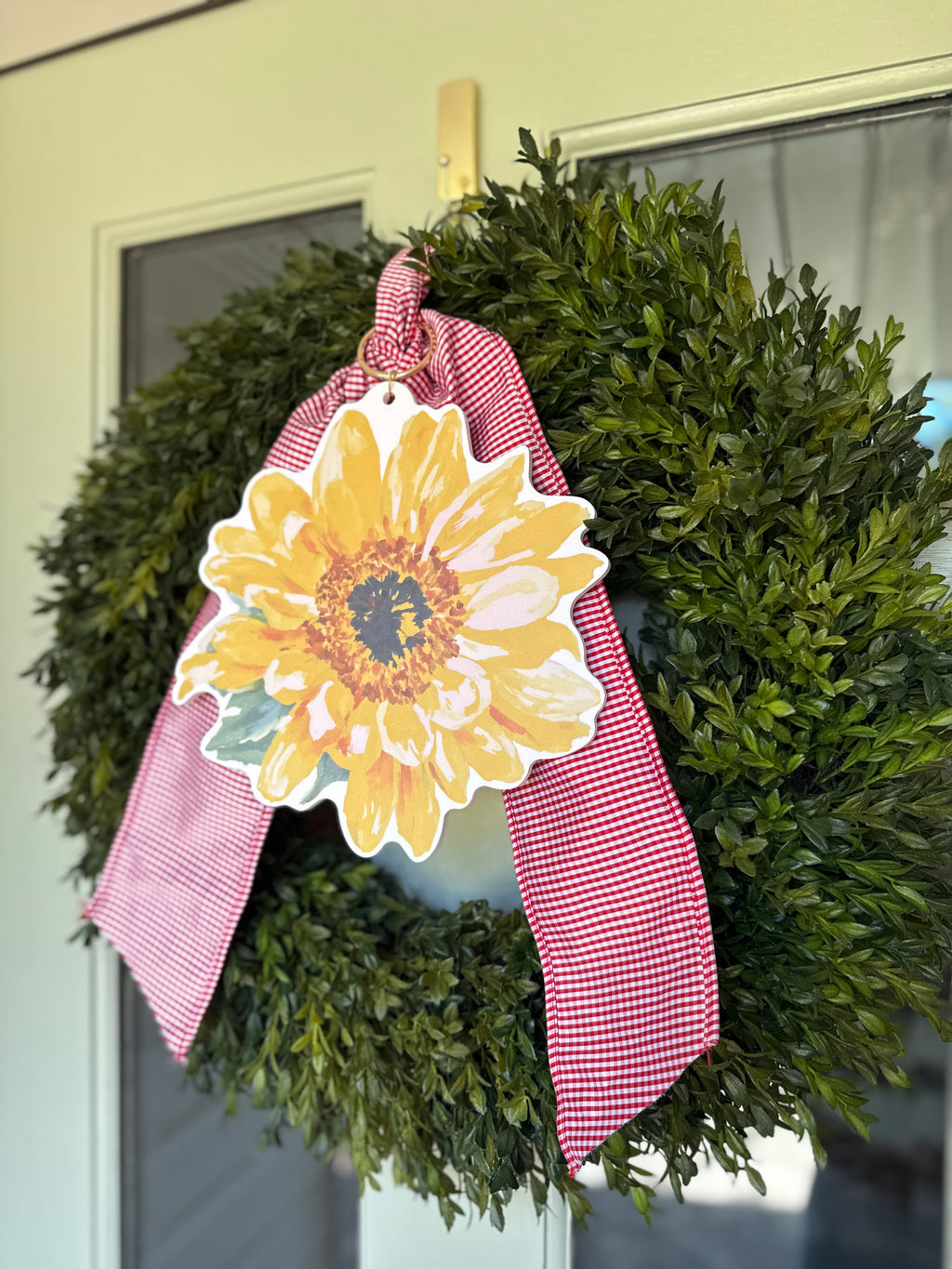 Chambray and Red Gingham Double Sided Ribbon Sash