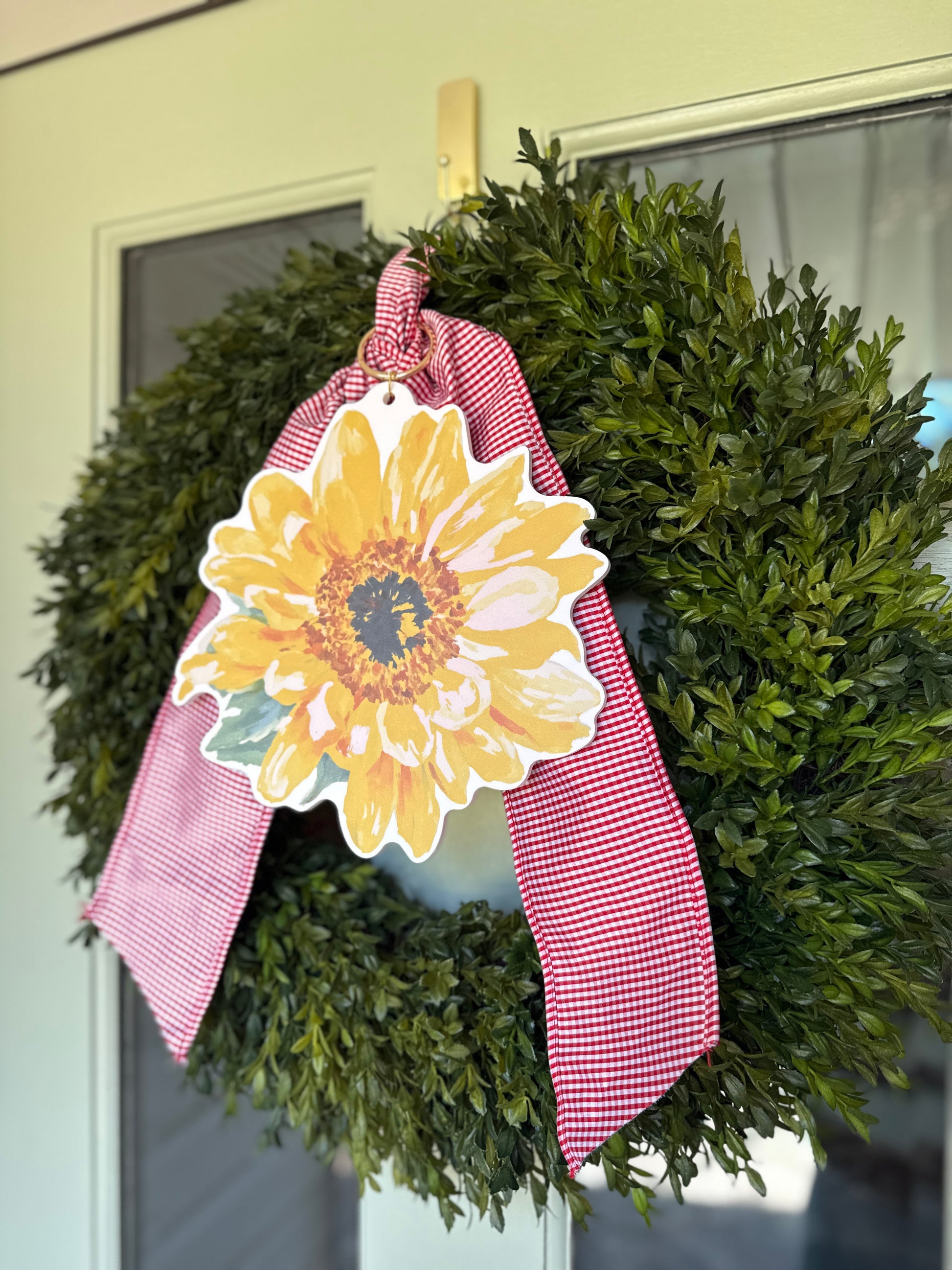 Chambray and Red Gingham Double Sided Ribbon Sash